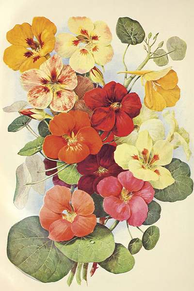 Vintage vykort, 10x15 cm. 